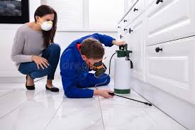 Best Pest Control for Multi-Family Homes  in Ajo, AZ