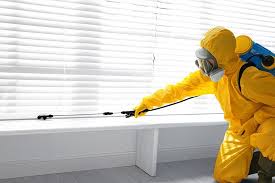 Best Bed Bug Extermination  in Ajo, AZ